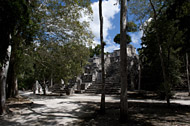Temple IV in Calakmul's Central Plaza - calakmul mayan ruins,calakmul mayan temple,mayan temple pictures,mayan ruins photos